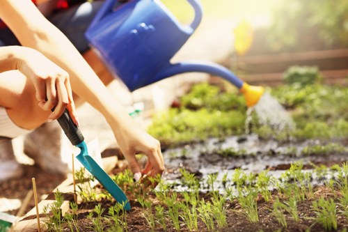 The image shows a close-up view of a gardener's hands working in a small outdoor garden bed, with a vivid green grassy area in the foreground and a row of young plants or seedlings growing along the soil line. In the background, a blue watering can is held by another person, watering the garden, with sunlight illuminating the scene and creating a warm, natural atmosphere. The garden appears well-maintained, with neat plant spacing and a healthy, moist soil surface. The scene suggests active gardening efforts, including watering and tending to young plants, which aligns with outdoor gardening and landscape maintenance services offered by companies like Hedge Trimming Colindale in the NW London area. The environment is outdoors, in a residential or community garden setting, demonstrating practical gardening tasks during daylight hours, with natural lighting emphasizing the vibrant green hues and soil textures typical of a well-kept garden space.