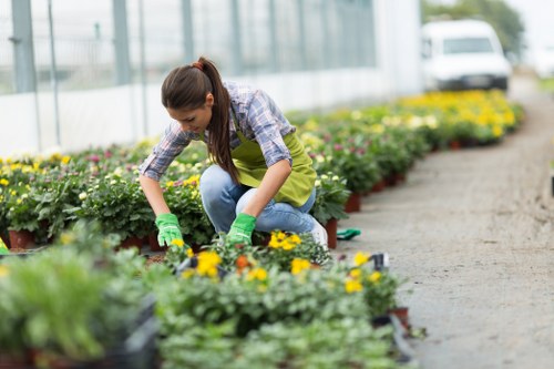 Secure payment checkout for hedge trimming Colindale
