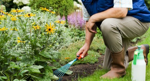 Supervisor training staff on safe hedge trimming techniques