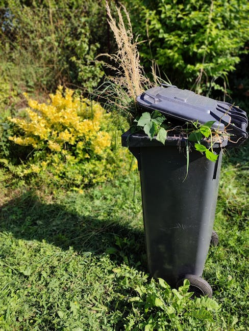 A black wheeled garden waste bin placed on a patch of grass in a garden setting, overflowing with cut grass, dried ornamental grasses, and green leaves. The background features a yellow-flowering shru